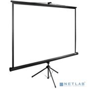 Экран Cactus TriExpert CS-PSTE-200x150-BK 150x200 см 4:3 напольный рулонный Товар под заказ